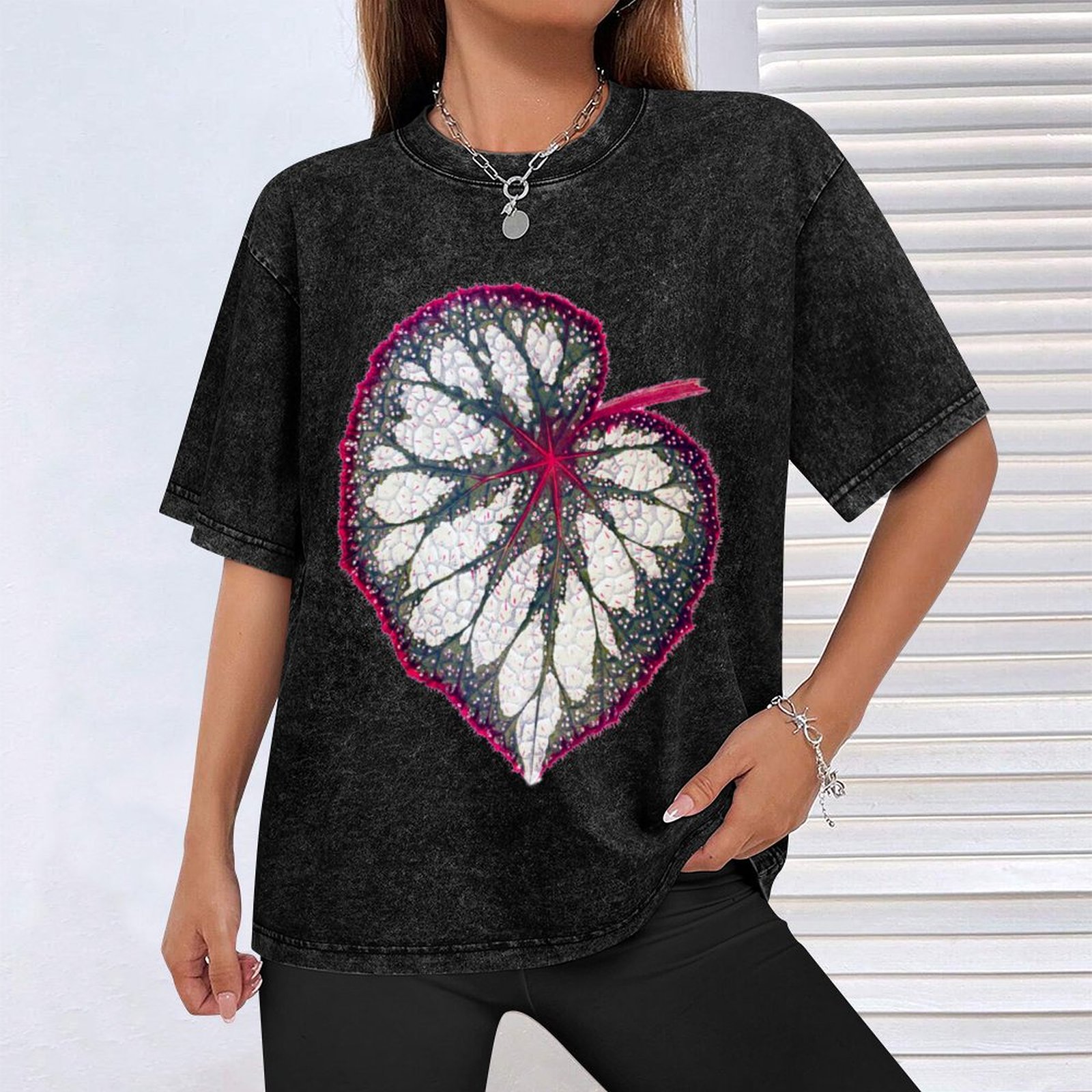 Camiseta Begonia rex, camiseta - Begonia Rex reseña y precio