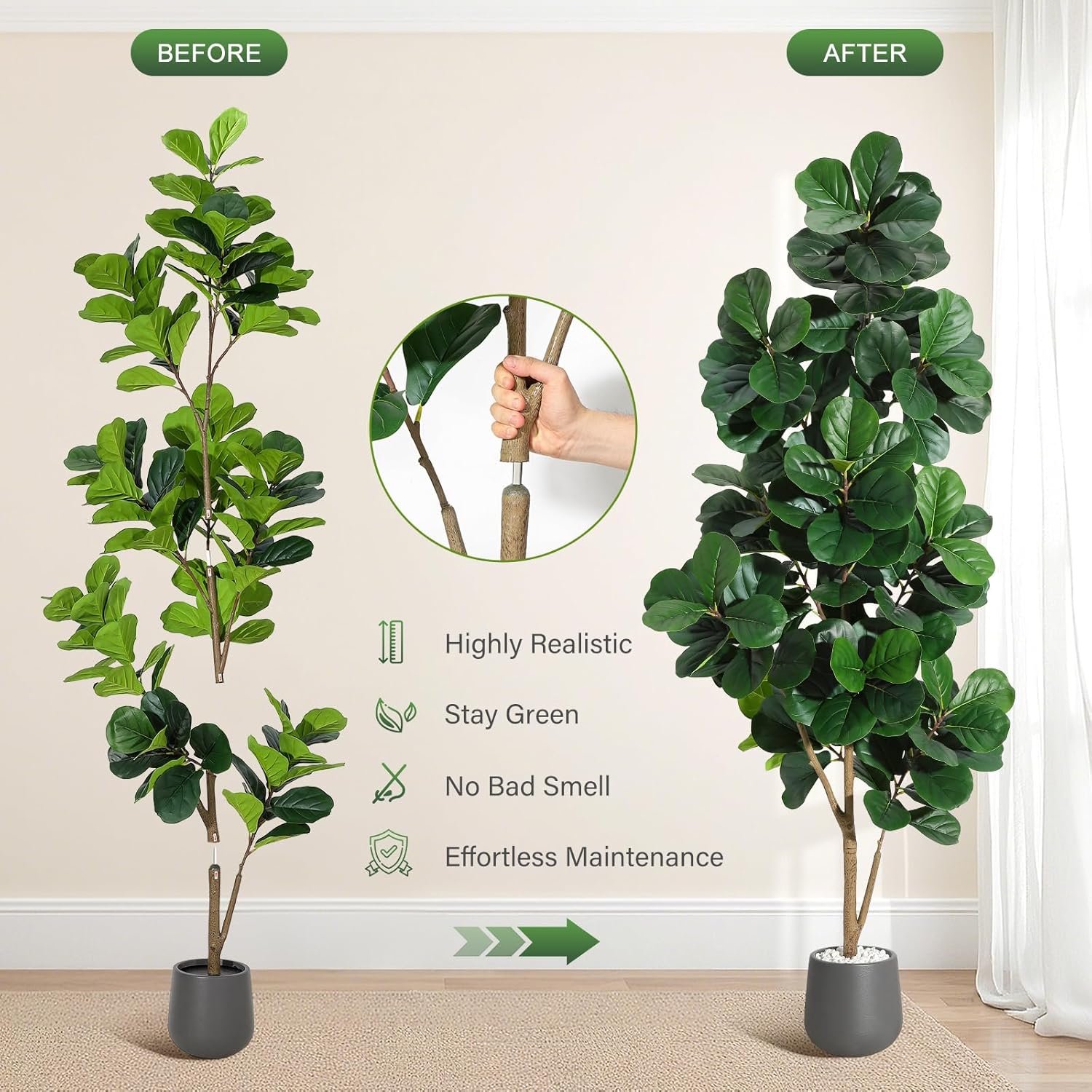 Árbol de higo de hoja de violí - Ficus Lyrata Tree reseña y precio