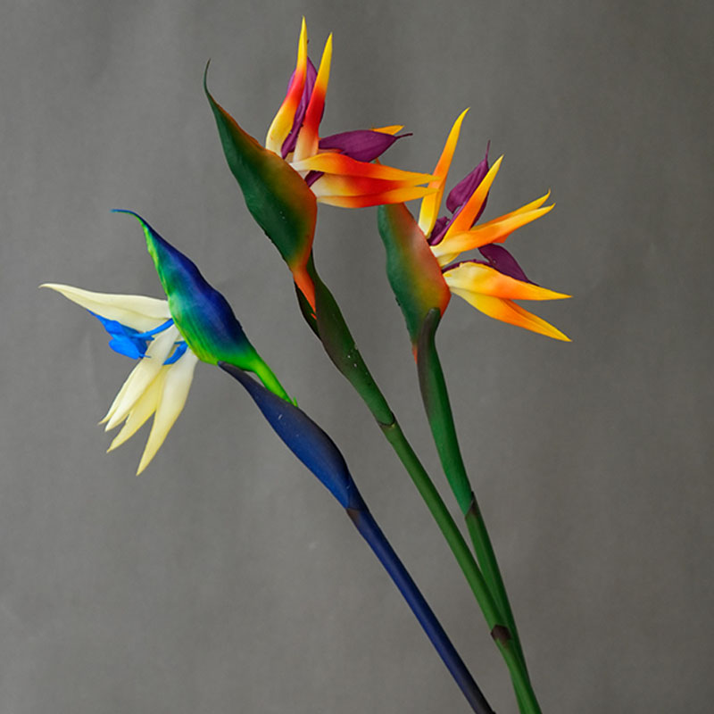 1 unidad de flores artificiale - Bird Paradise Strelitzia reseña y precio