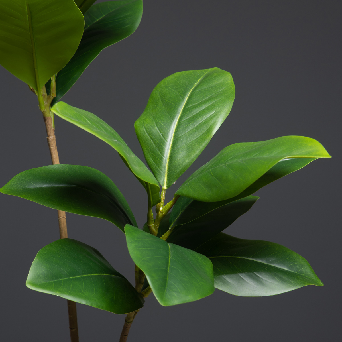 Plantas artificiales grandes d - Dracaena Marginata reseña y precio