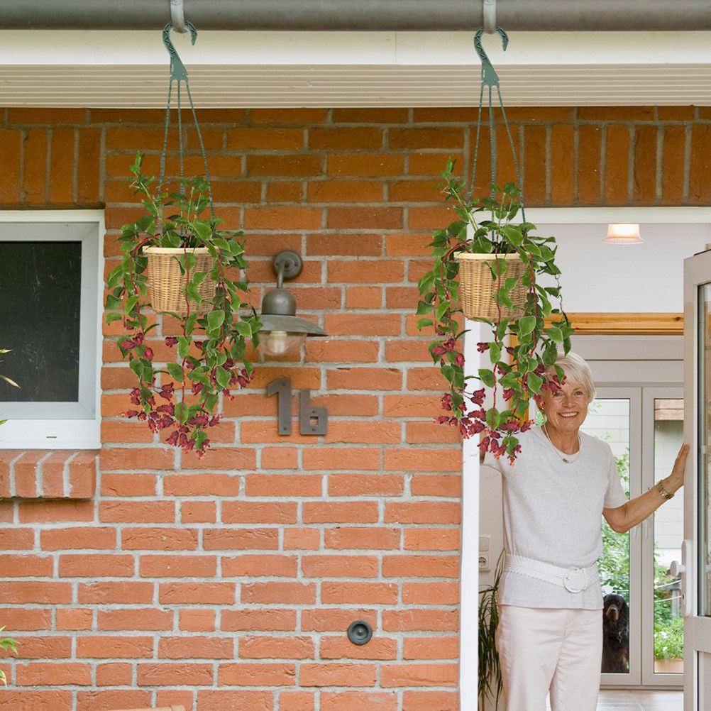 Ganchos colgantes versátiles p - Spider Plant Hanging reseña y precio