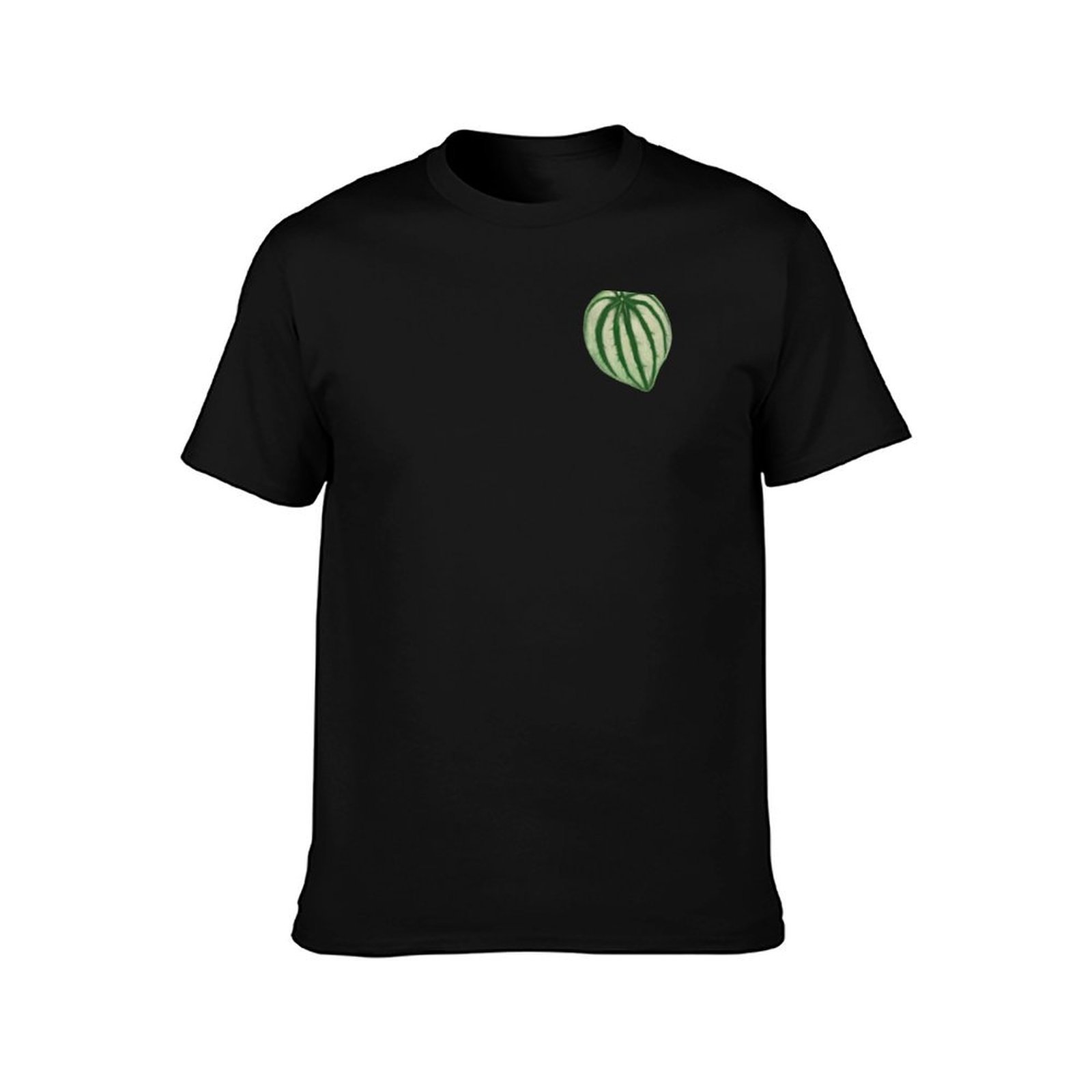 Camiseta Watermelon Peperomia, - Peperomia Watermelon reseña y precio