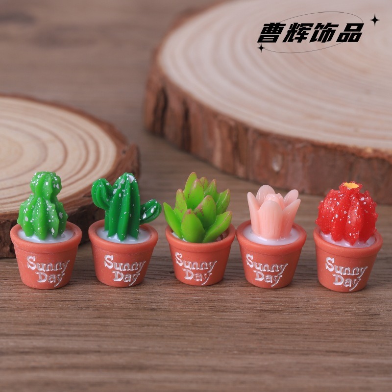 5 uds simulación de planta en  - Echeveria Succulent reseña y precio